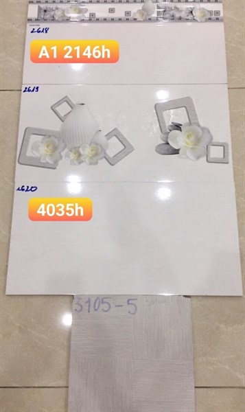 Gạch 30x60 2620V L1