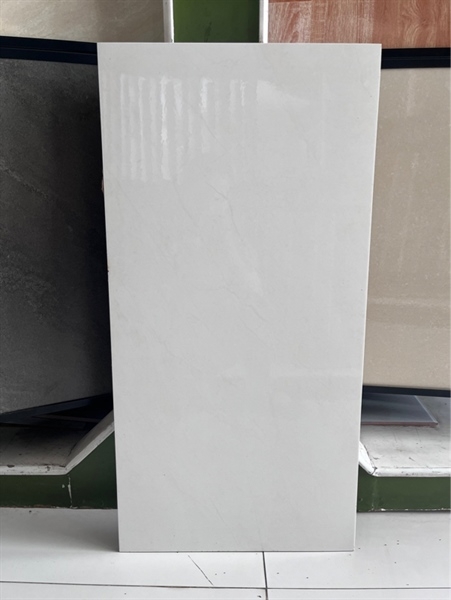 Gạch 40x80 4313