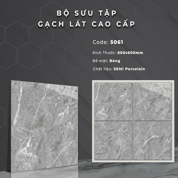 Gạch bóng kính 60x60 5061