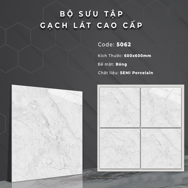 Gạch bóng kính 60x60 5062
