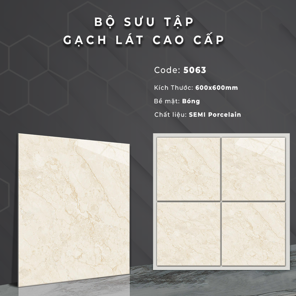 Gạch bóng kính 60x60 5063