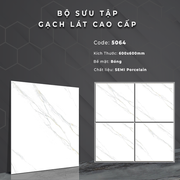 Gạch bóng kính 60x60 5064