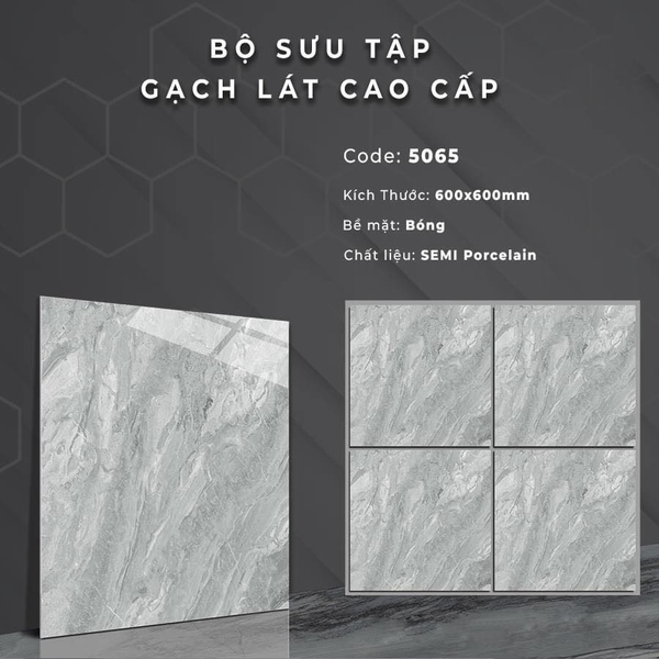 Gạch bóng kính 60x60 5065