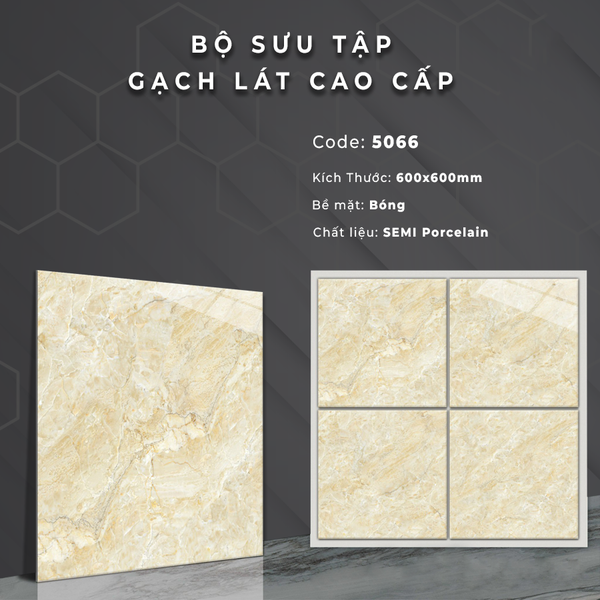 Gạch bóng kính 60x60 5066