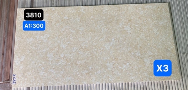 Gạch 30x60 3810 Đá mờ L1