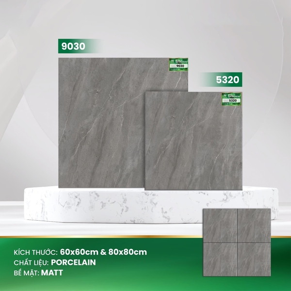 Gạch 60x60 mờ nhám 5320