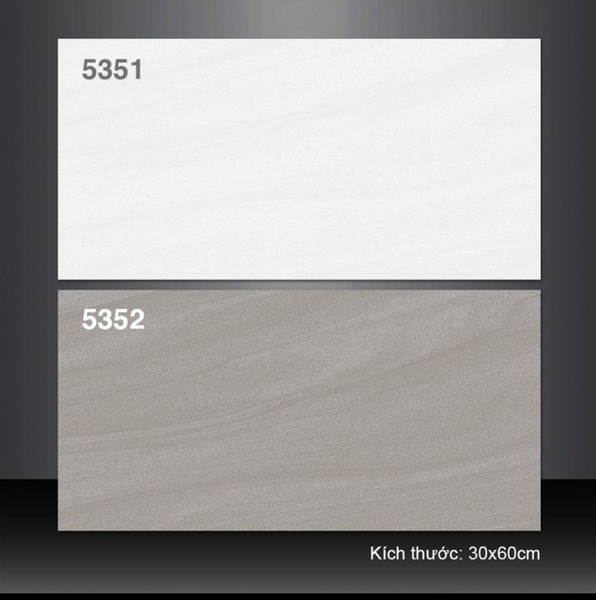 Gạch ốp tường 30x60 5351