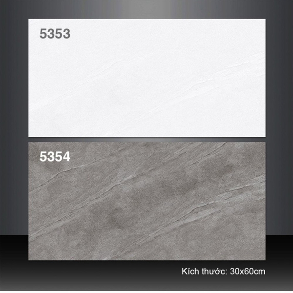 Gạch ốp tường 30x60 5353