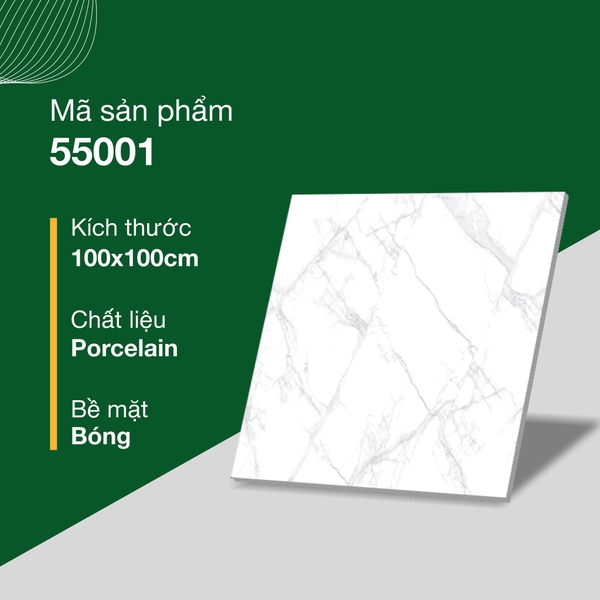 Gạch bóng kính 100x100 54001
