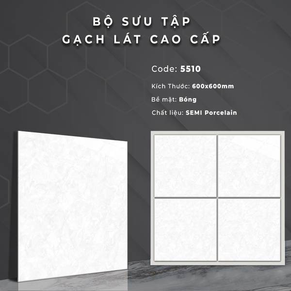 Gạch bóng kính 60x60 5510