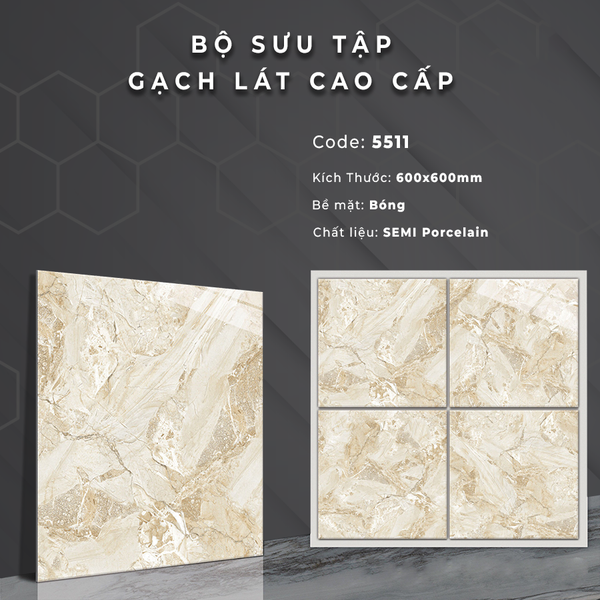 Gạch bóng kính 60x60 5510