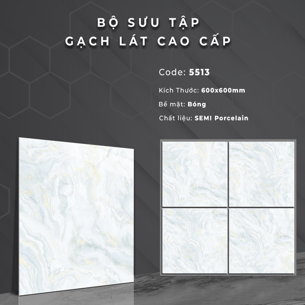 Gạch bóng kính 60x60 5513