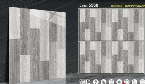 Gạch Bóng Kính 60x60 5560