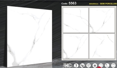 Gạch Bóng Kính 60x60 5563