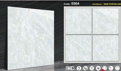 Gạch Bóng Kính 60x60 5564
