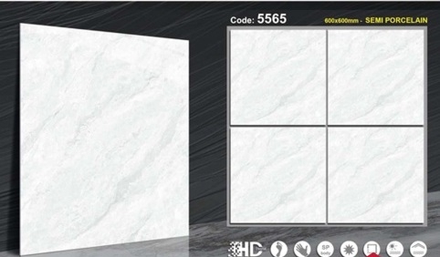 Gạch Bóng Kính 60x60 5565