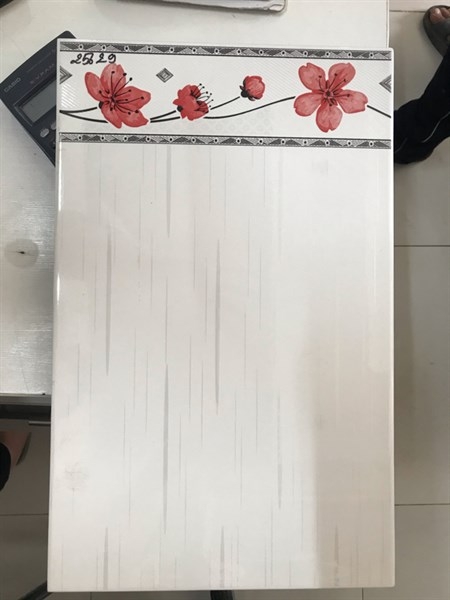 Gạch 25x40 25629 Viền