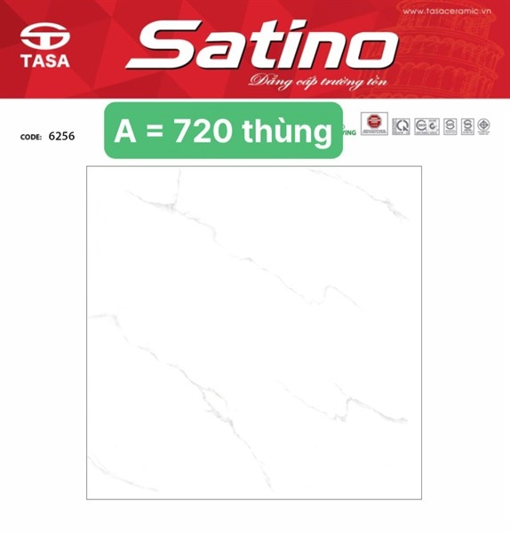 Gạch 60x60 6256 men L2