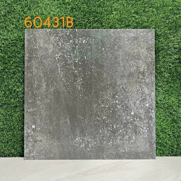 Gạch 60x60 mờ nhám 60431B