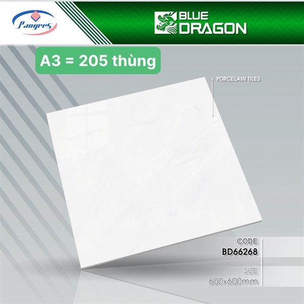 Gạch 60x60 66268 L3
