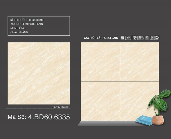 Gạch Bóng Kính 60x60 6335
