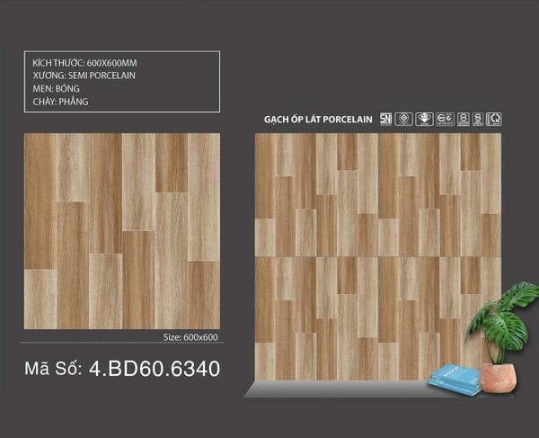 Gạch Bóng Kính 60x60