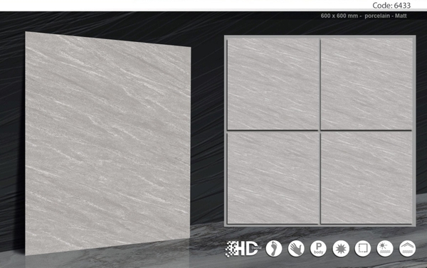 Gạch 60x60 mờ nhám 6433