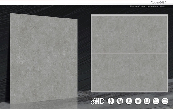 Gạch 60x60 mờ nhám 6434