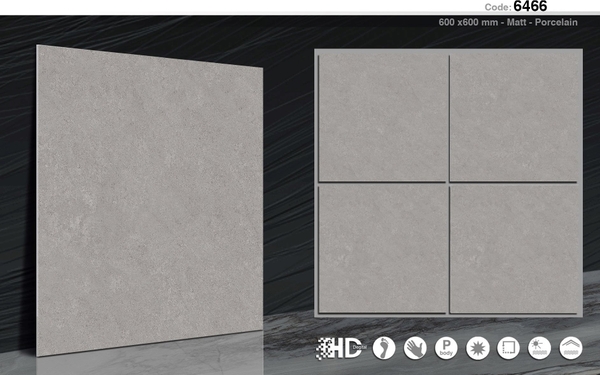 Gạch 60x60 mờ nhám 6466