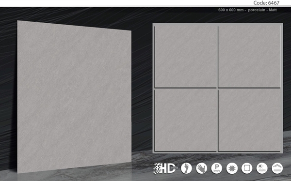 Gạch 60x60 mờ nhám 6467
