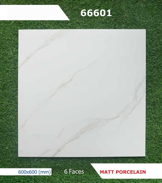Gạch mờ nhám 60x60 66601