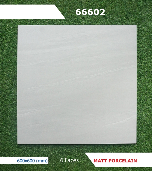 Gạch mờ nhám 60x60 66602