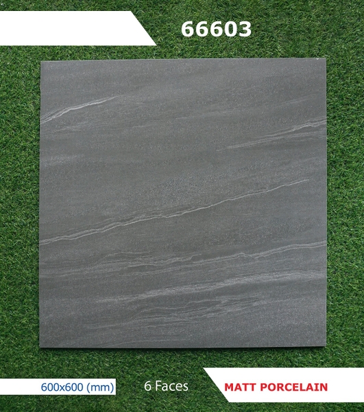 Gạch mờ nhám 60x60 66603