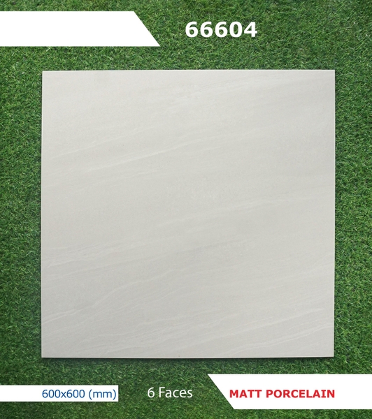 Gạch mờ nhám 60x60 66604