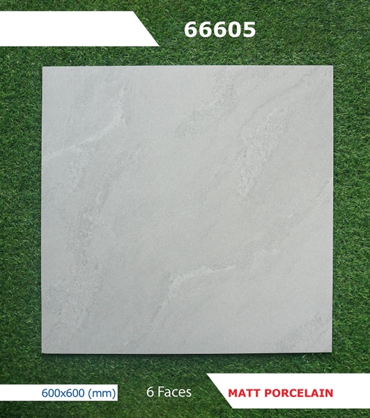 Gạch mờ nhám 60x60 66605