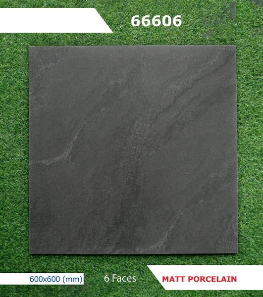 Gạch mờ nhám 60x60 66606