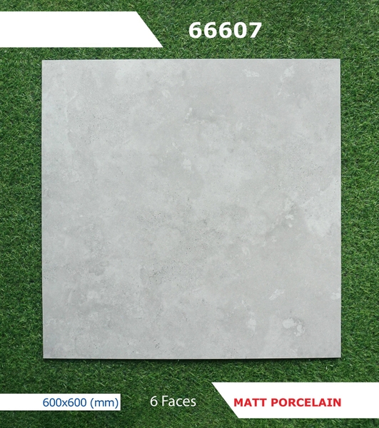 Gạch mờ nhám 60x60 66607