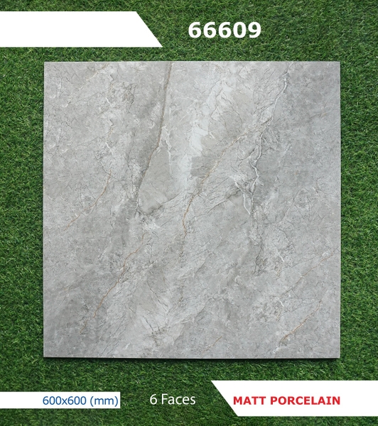 Gạch mờ nhám 60x60 66609