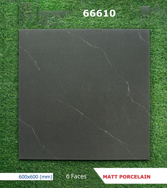 Gạch mờ nhám 60x60 66610