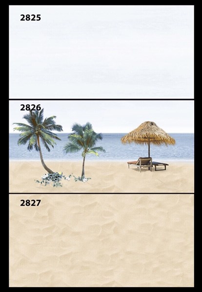 Gạch 30x60 2825 Đậm L1