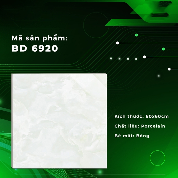 Gạch Bóng Kính 60x60 6920