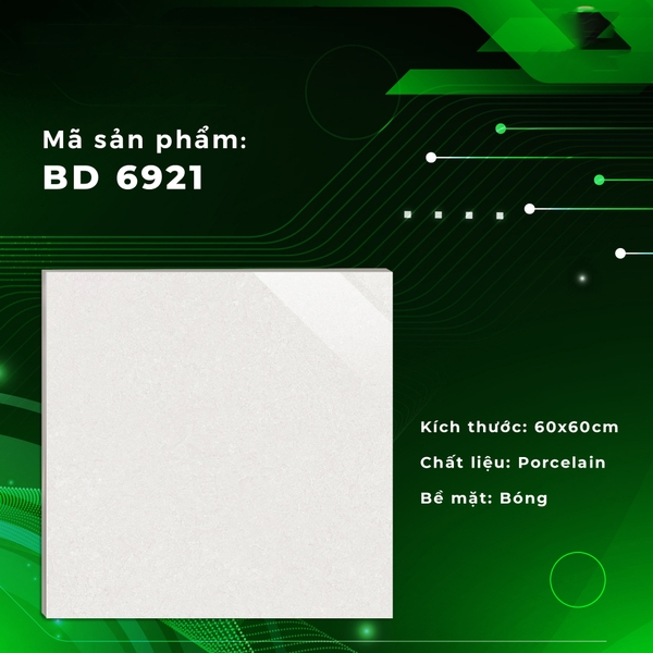 Gạch Bóng Kính 60x60 6921