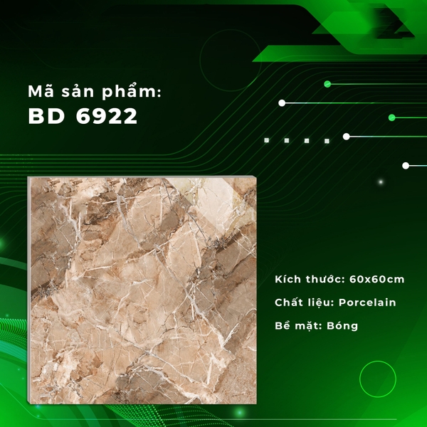 Gạch Bóng Kính 60x60 6922