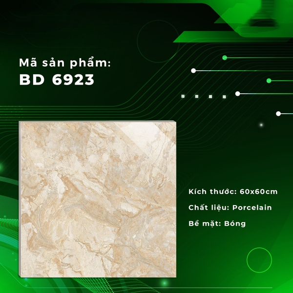 Gạch Bóng Kính 60x60 6923