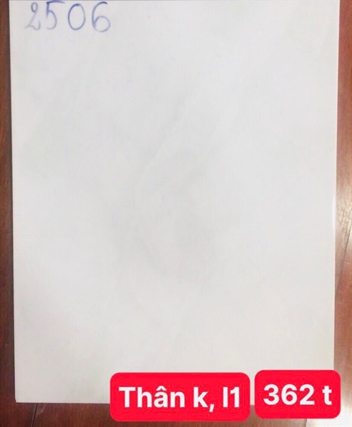 Gạch 25x40 2506 Thân L1