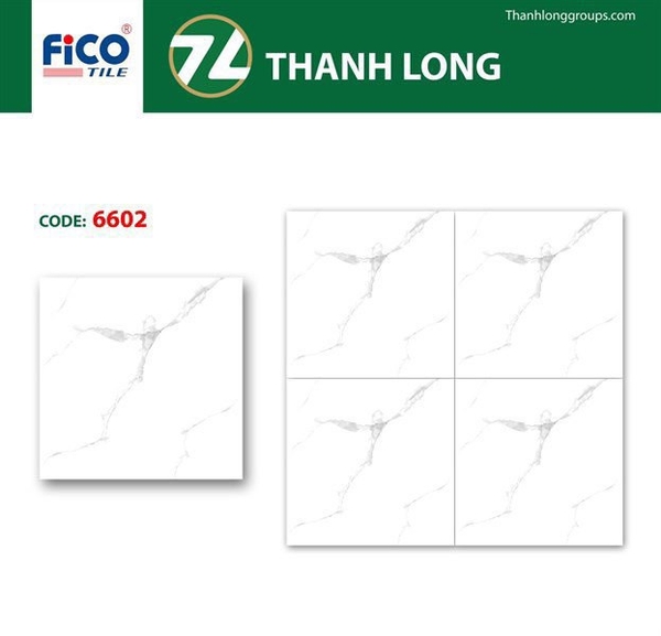 Gạch 60x60 6602 L4