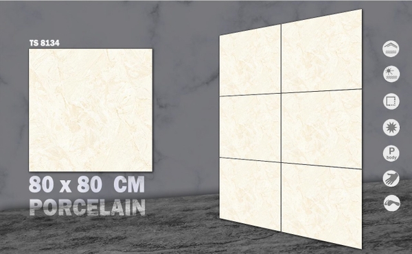 Gạch bóng kính 80x80 8134