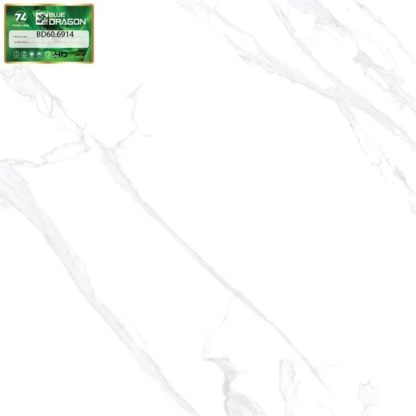 Gạch 60x60 6914 L2