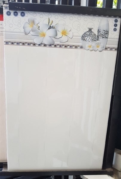 Gạch 25x40 25636 Thân LB