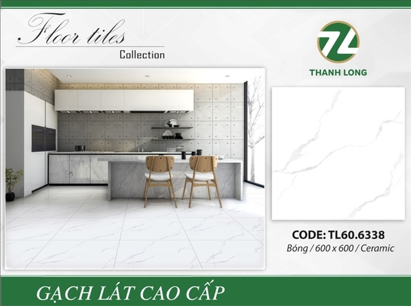 Gạch 60x60 6338 men L2